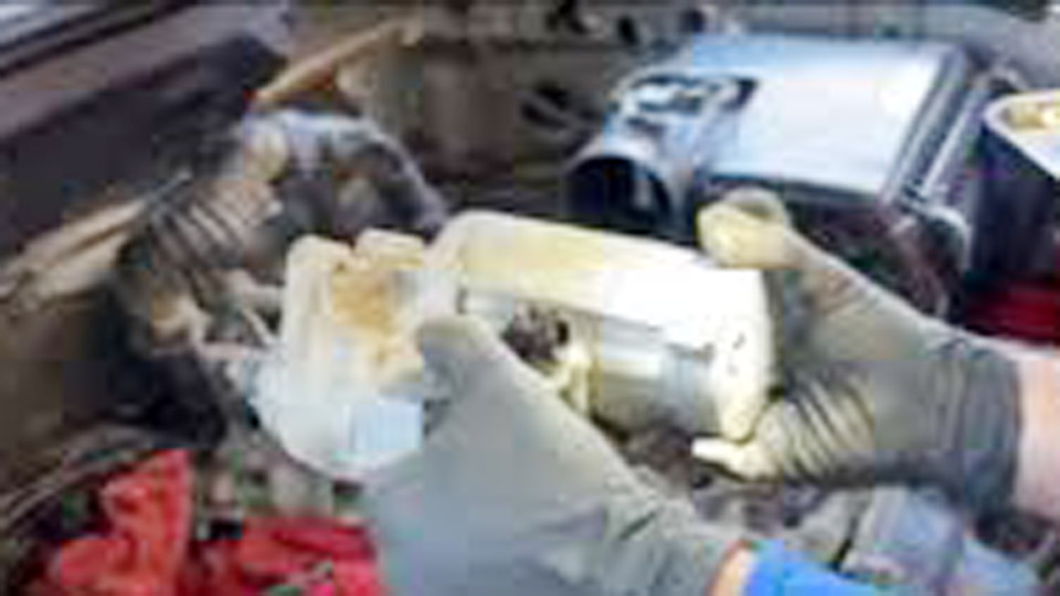 How Long Should It Take to Replace a Starter