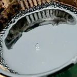 How to Clean Black Engine Oil Safely and Effectively