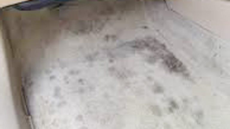 How to Get Black Mold Out of Car Carpet?